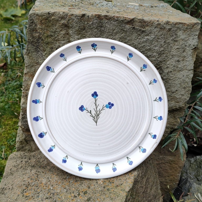 Fotka talíř modré macešky