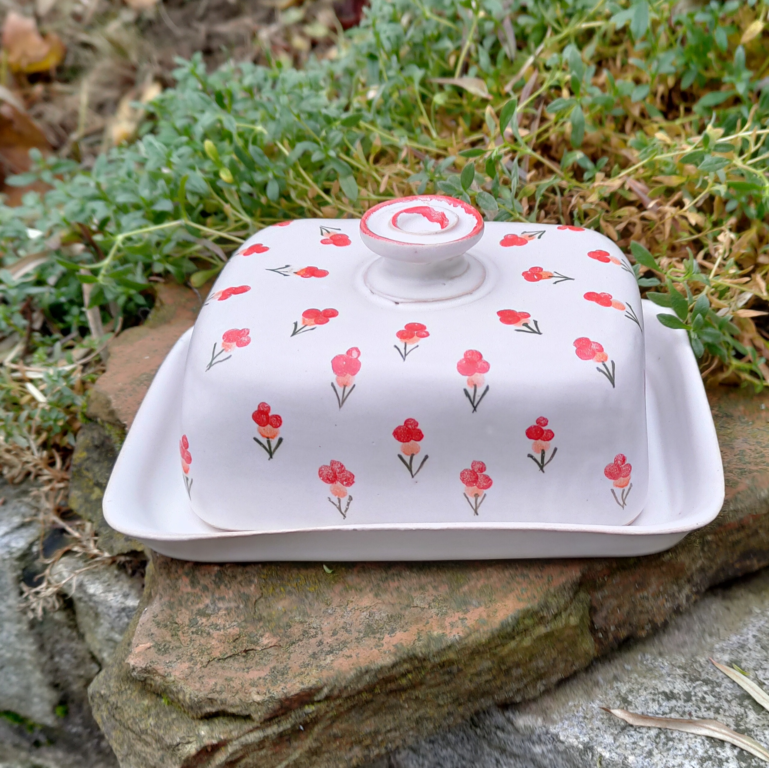 Fotka máslenka červené macešky